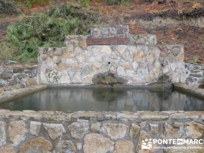 Senderismo por El Castañar de El Tiemblo - Senderismo Ávila